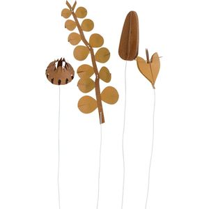 FIELD flowers | small browns | Jurianne Matter | DIY