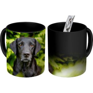 Magische Mok - Foto op Warmte Mokken - Koffiemok - Een zwarte Labrador Retriever tussen de groene bladeren - Magic Mok - Beker - 350 ML - Theemok