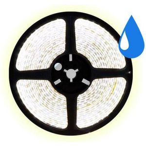 5 meter koud wit led strip waterproof - IP65 - 30Leds/m - 12V