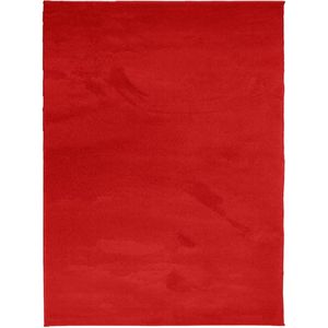 vidaXL - Vloerkleed - OVIEDO - laagpolig - 240x340 - cm - rood