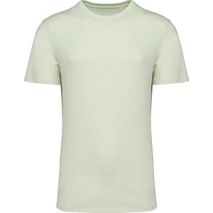 Biologisch T-shirt met ronde hals 'Portugal' Native Spirit Celadon Groen - 3XL