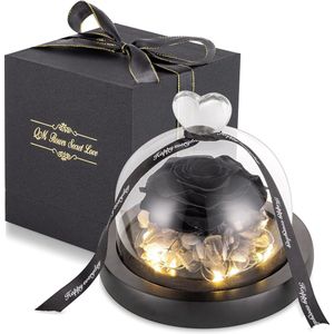 Equivera Eeuwige Roos in Koepel - Zwart - LED licht - Met Geschenkdoos - Romantisch - Valentijn - Moederdag - Perfect Cadeau