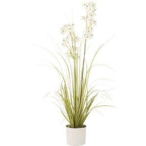 J-Line plant Allium In Pot - kunststof - groen/wit - medium