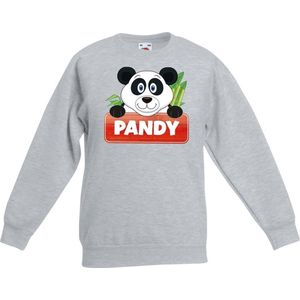 Pandy de panda sweater grijs voor kinderen - unisex - pandabeer trui - kinderkleding / kleding 170/176