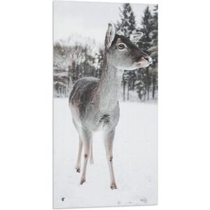 WallClassics - Vlag - Hertje in de Winter - 50x100 cm Foto op Polyester Vlag