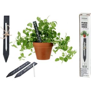 3 Plantenlabels in Leisteen - Met krijt - 15 x 2 x 0,5cm - Herbruikbaar - Planten en zaden - Plantenlabel - Plantenstekers - Plantenbordjes