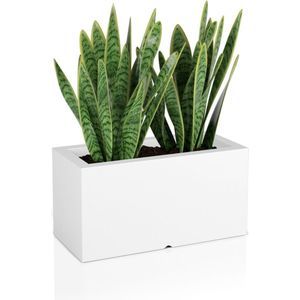 LUNGO - Plantenbak - binnen en buiten - 75x35x38cm - wit