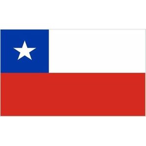 Mini vlag Chili 60 x 90 cm