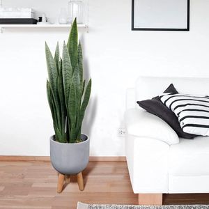 Kunstmatige Sansevieria Trifasciata Prain 0,9 m. Tropische faux-slangenplantengroen realistisch voor buitengebruik