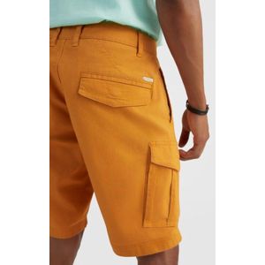 O'neill Shorts Beach Break Cargo Shorts