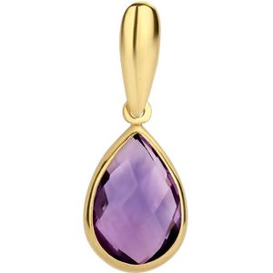 Marie-Celeste Hanger Amethyst - Goud