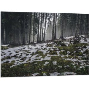 WallClassics - Vlag - Smalle Bomen in Bos met Kleine Beetjes Sneeuw - 100x75 cm Foto op Polyester Vlag