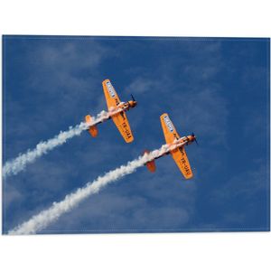 WallClassics - Vlag - Duo Zweefvliegtuigen - 40x30 cm Foto op Polyester Vlag