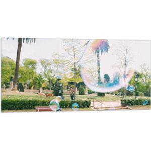 WallClassics - Vlag - Park met Palmbomen en Bellenblaas - 100x50 cm Foto op Polyester Vlag