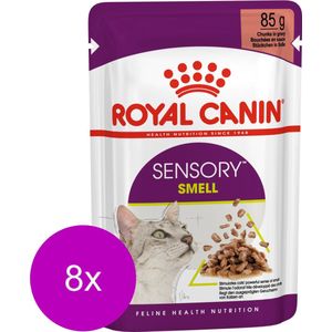 Royal Canin Sensory Multipack Smell - In Gravy - Kattenvoer - 8 x 12x85 g