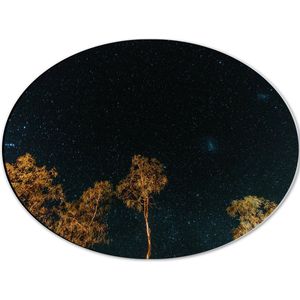 WallClassics - Dibond Ovaal - Bomen in de Nacht onder Sterrenhemel - 40x30 cm Foto op Ovaal (Met Ophangsysteem)