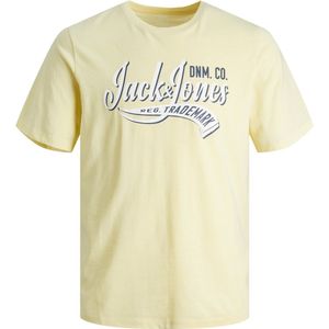 JACK&JONES JUNIOR JJELOGO TEE SS NECK 2 COL 23/24 NOOS JNR Jongens Overhemd - Maat 140