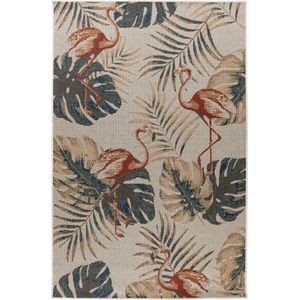 Tapijtenloods Capri Flamingo Vloerkleed Binnen en Buiten Laagpolig Multi- 240x330 CM