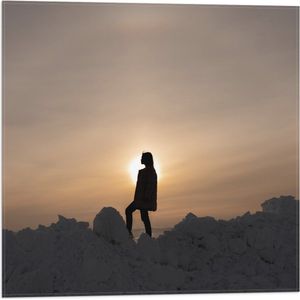 WallClassics - Vlag - Vrouw Poserend op Hoop Sneeuw - 50x50 cm Foto op Polyester Vlag