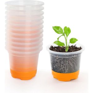Kweekpotten, 12 stuks, 10 cm, transparante plantenpotten met siliconen sokkel, herbruikbare bloempotten van kunststof, voor planten, bloemen, groenten, oranje