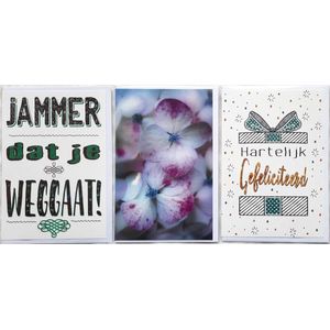 3 Wenskaarten - Jammer dat je Weggaat + Hartelijk Gefeliciteerd + Blanco Kaart Bloemen - 12 x 17 cm – WEG-302