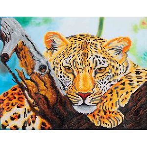 DIAMOND DOTZ Leopard Look - Diamond Painting - 15.459 Dotz - 46x36 cm