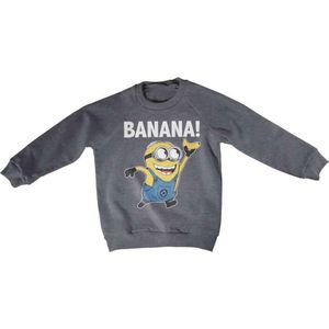 Minions Sweater/trui kids -Kids tm 6 jaar- Banana! Grijs