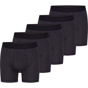 ESGE Heren Pant met voorsluiting 5 pack - Fijnrib Ringel