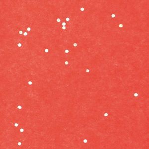 Zijdepapier - Glitters - Zilver op rood - Budget - 50x75 cm - Pak a 240 vellen