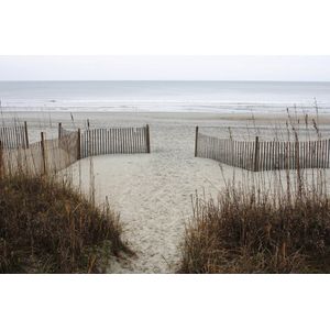 Dibond - Zee - Strand in wit / beige / grijs / groen - 80 x 120 cm.