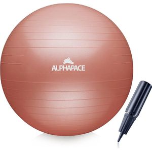 Dikke anti-burst gymnastiekbal zitbal trainingsbal incl. luchtpomp, bal voor fitness, yoga, gymnastiek, core training, voor sterke rug als bureaustoel
