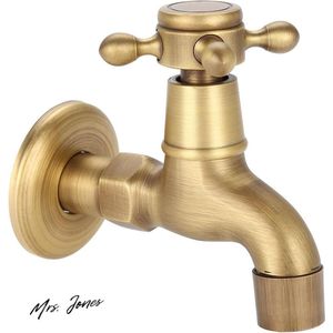 Mrs. Jones Europese Klassieke Mop Zwembad Kraan Wandmontage Messing Antiek Elegant Koud/Warm Water voor Badkameraccessoires (# 2) .
