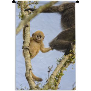 Wandkleed Junglebewoners - Jonge aap kijkend in de camera Wandkleed katoen 60x90 cm - Wandtapijt met foto