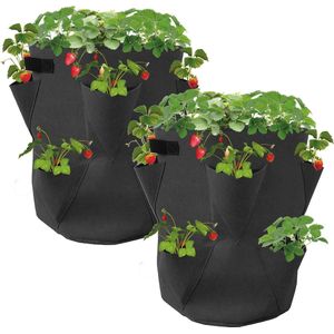 Aardbeien Kweekbakken - Aardbeienpot - Plantentoren - Aardbeienbak - Aardbeien Pot