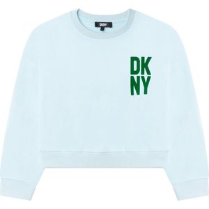 DKNY D35S49 Sweatshirt Unisex - Green - 12 jaaren