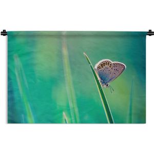 Wandkleed Bosleven - Vlinder op grasspriet Wandkleed katoen 180x120 cm - Wandtapijt met foto XXL / Groot formaat!