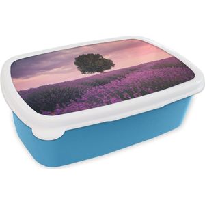 Broodtrommel Blauw - Lunchbox - Brooddoos - Lavendel - Bloemen - Paars - Boom - Natuur - 18x12x6 cm - Kinderen - Jongen