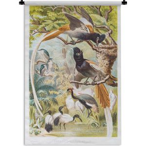 Wandkleed Antieke Vogelprenten - Antieke vogelprent familie Wandkleed katoen 90x135 cm - Wandtapijt met foto