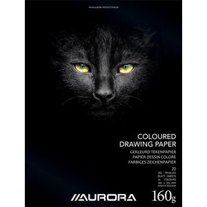 Aurora Tekenblok Color, gekleurd papier, 240x315 mm 20 vel 160 grams - 10 stuks