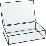 VT wonen opbergbox/ glazen vitrine metaal/glas zwart 21x33x9cm