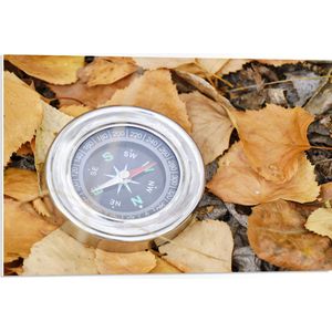 WallClassics - PVC Schuimplaat- Traditioneel Kompas op Stapel Herfstbladeren - 75x50 cm Foto op PVC Schuimplaat