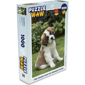 Puzzel Drie maand oude Sint Bernard puppie - Legpuzzel - Puzzel 1000 stukjes volwassenen