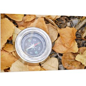 WallClassics - PVC Schuimplaat - Traditioneel Kompas op Stapel Herfstbladeren - 150x100 cm Foto op PVC Schuimplaat (Met Ophangsysteem)