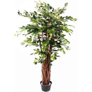 Kunstplant Ficus Benjamina Liana Deluxe 175 cm