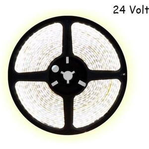 5 meter koud wit led strip - 120Leds/m - 24V - 3528