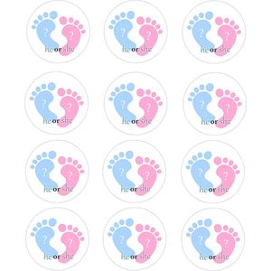 DW4Trading Geboorte Sticker He Or She Blauw-roze - Envelop - Sluitsticker - Babyshower - 24 Stuks – Ø 4,5 cm