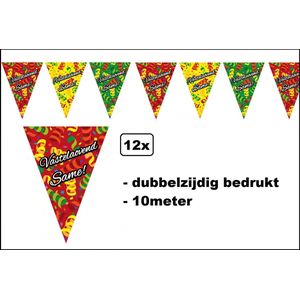 12x Vlaggenlijn Vastelaovend Same 10 meter - Dubbelzijdig bedrukt - Carnaval thema feest party festival