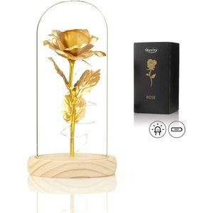Luxe Roos in Glas met LED – Valentijn - Gouden Roos in Glazen Stolp – Moederdag - Bekend van Beauty and the Beast - Cadeau voor vriendin moeder haar - Goud - Lichte Voet – Qwality