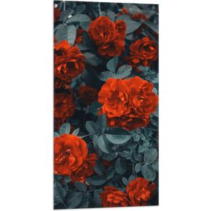 WallClassics - Vlag - Rode Volle Bloemen in Donkergroene Struik - 50x100 cm Foto op Polyester Vlag