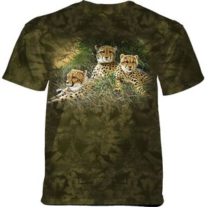 T-shirt Family Cheetahs XL
